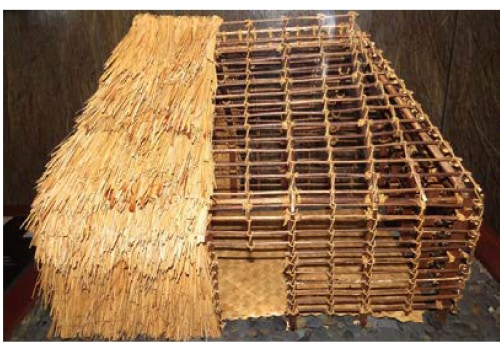 Exploring the Materials Used in Hawaiian Architecture